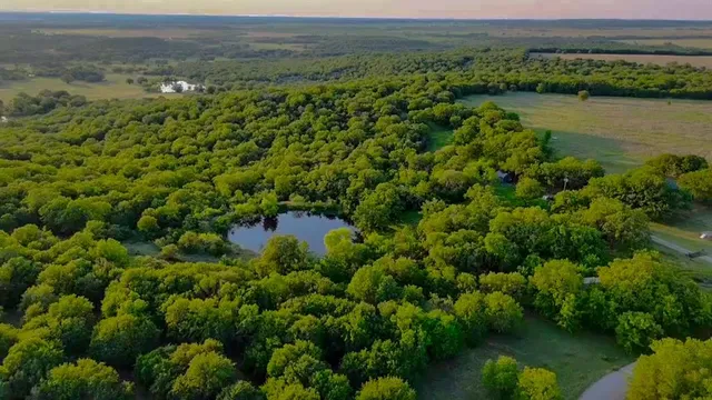 a view of a glass door with a tree