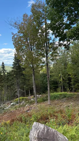 $229,900 | 11 Summit Drive, Unit 11, Franconia, NH 03580