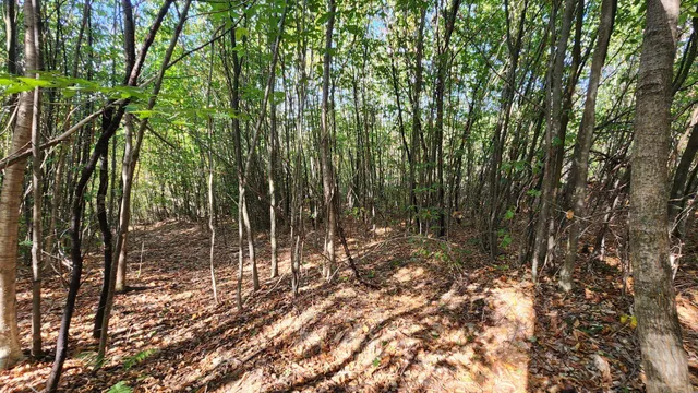 $229,900 | 11 Summit Drive, Unit 11, Franconia, NH 03580