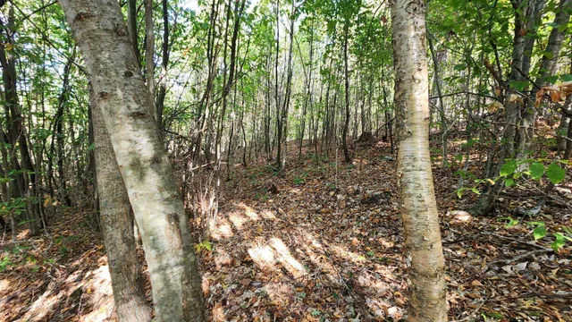 $229,900 | 11 Summit Drive, Unit 11, Franconia, NH 03580