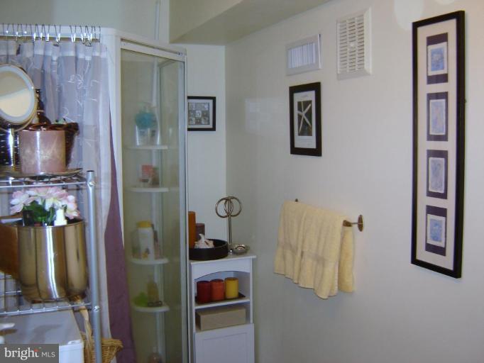 8988 Round Top Road Manassas, VA 20112 - Photo 15 of 30 Bath #3