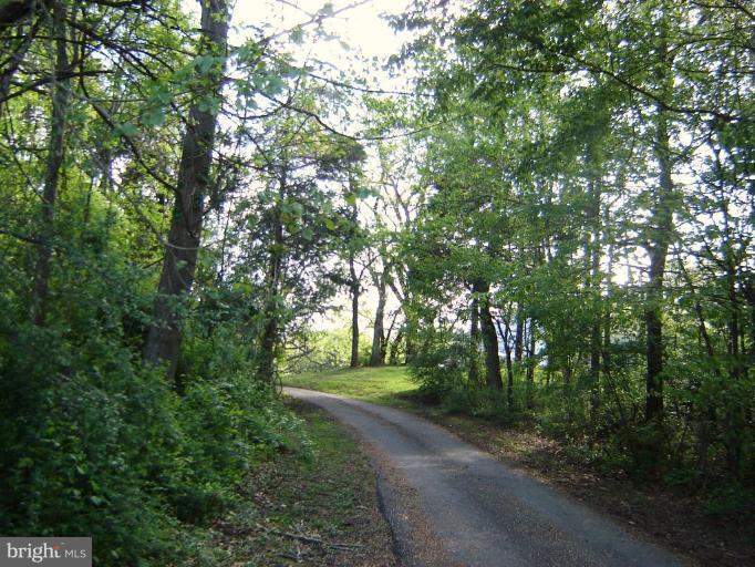 8988 Round Top Road Manassas, VA 20112 - Photo 19 of 30 Driveway