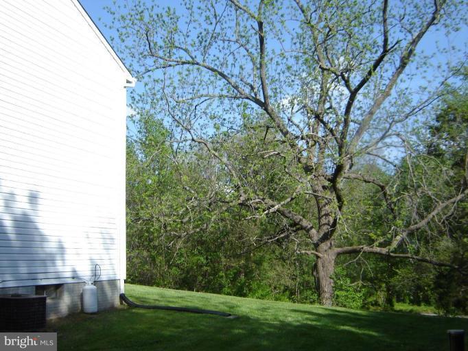 8988 Round Top Road Manassas, VA 20112 - Photo 28 of 30 side yard