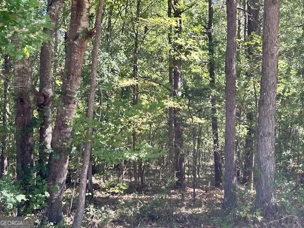 $150,000 | L-2 Smyrna Church Road, Molena, GA 30258