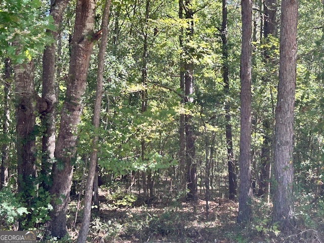 L-2 Smyrna Church Road Molena, GA 30258 - Photo 2 of 6 a view of forest