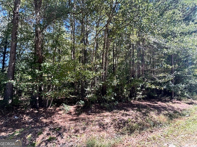 L-2 Smyrna Church Road Molena, GA 30258 - Photo 3 of 6 a view of a forest