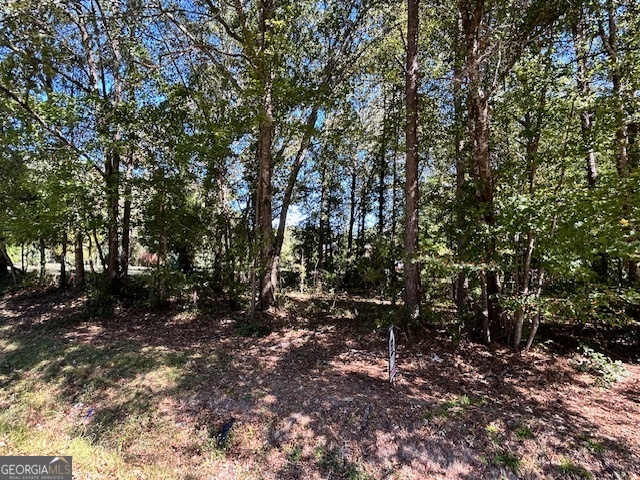 L-2 Smyrna Church Road Molena, GA 30258 - Photo 4 of 6 a view of a forest