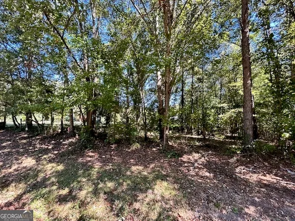 $150,000 | L-2 Smyrna Church Road, Molena, GA 30258