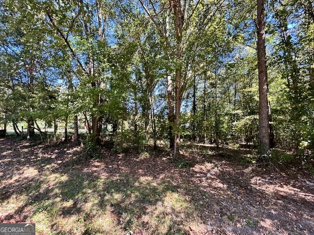 L-2 Smyrna Church Road Molena, GA 30258 - Photo 6 of 6 a view of a forest
