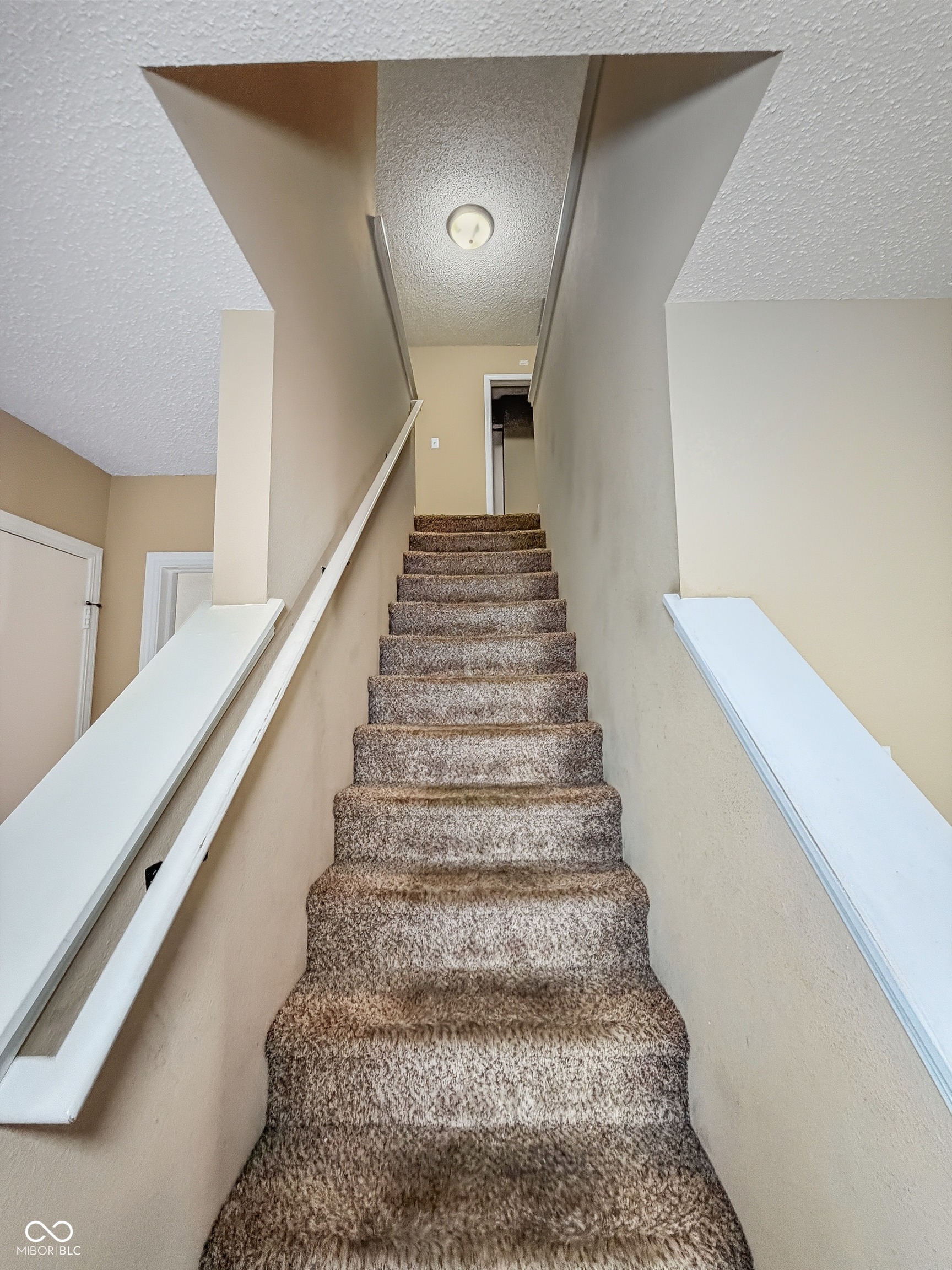 8741 Limberlost Court Camby, IN 46113 - Photo 22 of 39