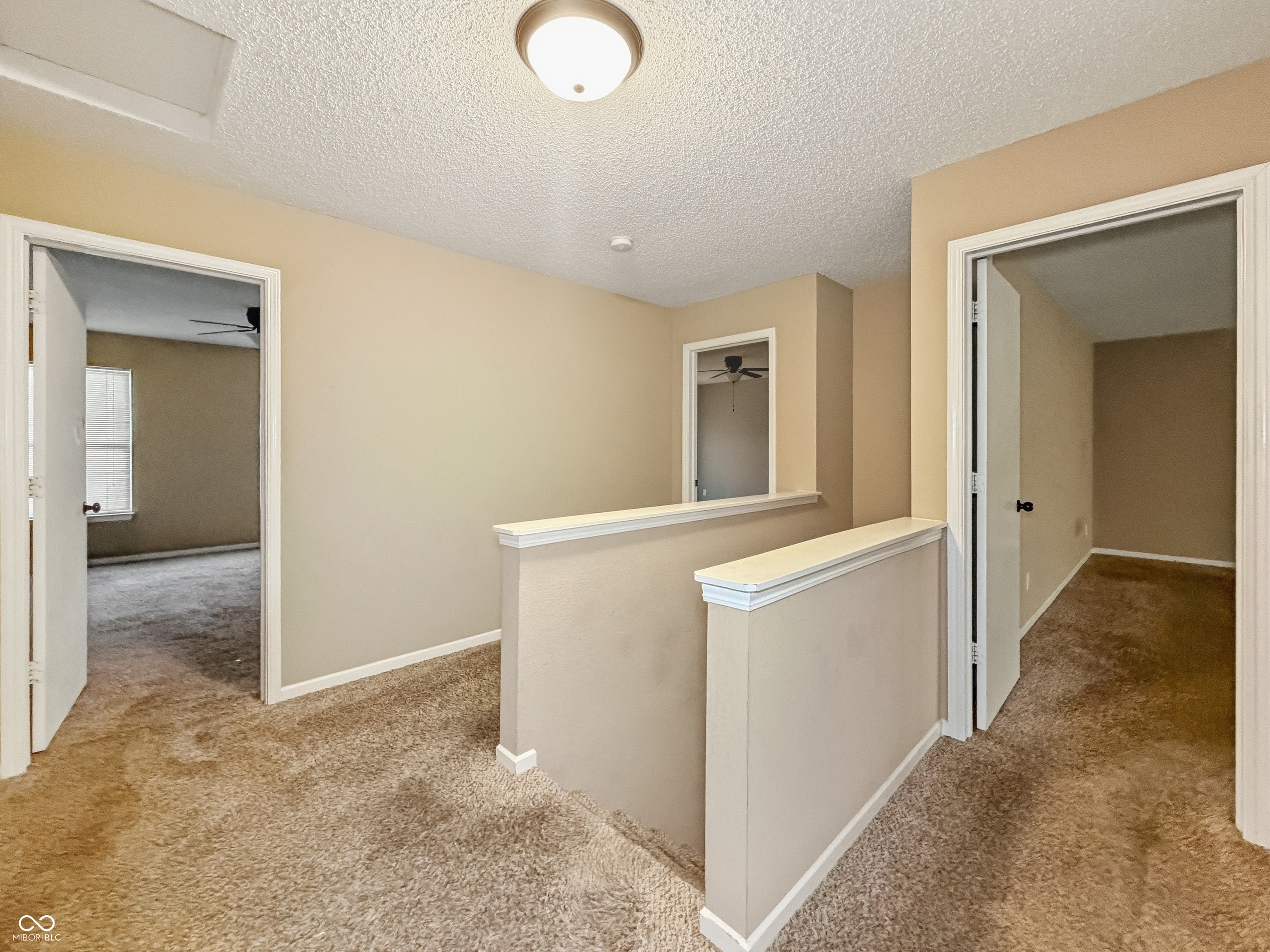 8741 Limberlost Court Camby, IN 46113 - Photo 23 of 39