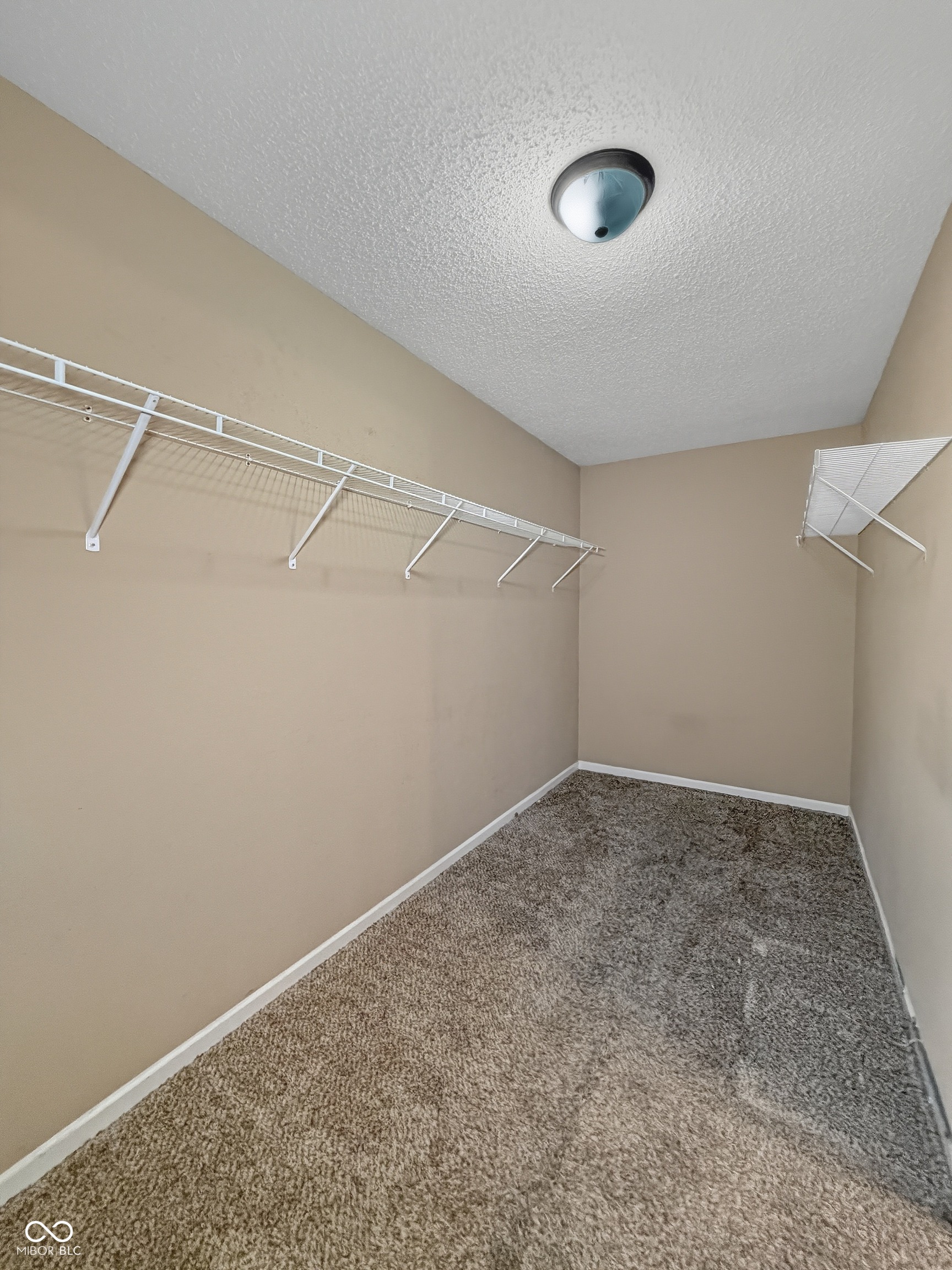 8741 Limberlost Court Camby, IN 46113 - Photo 36 of 39