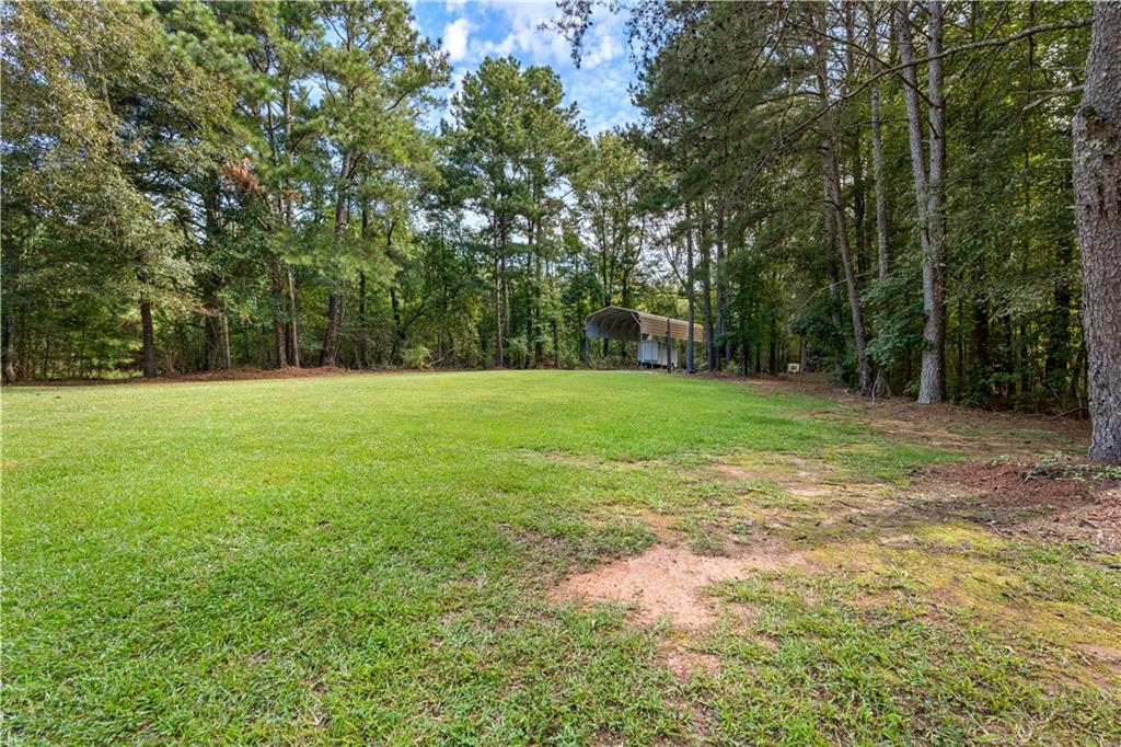 894 Upper Woolsey Road Hampton, GA 30228 - Photo 65 of 96 a view of a big yard with trees