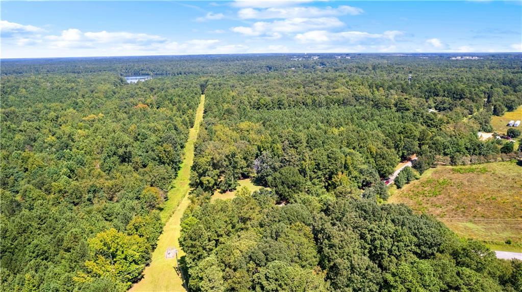894 Upper Woolsey Road Hampton, GA 30228 - Photo 72 of 96 a view of a city with lush green forest
