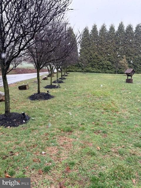 23 West Conestoga Road Elverson, PA 19520 - Photo 6 of 8