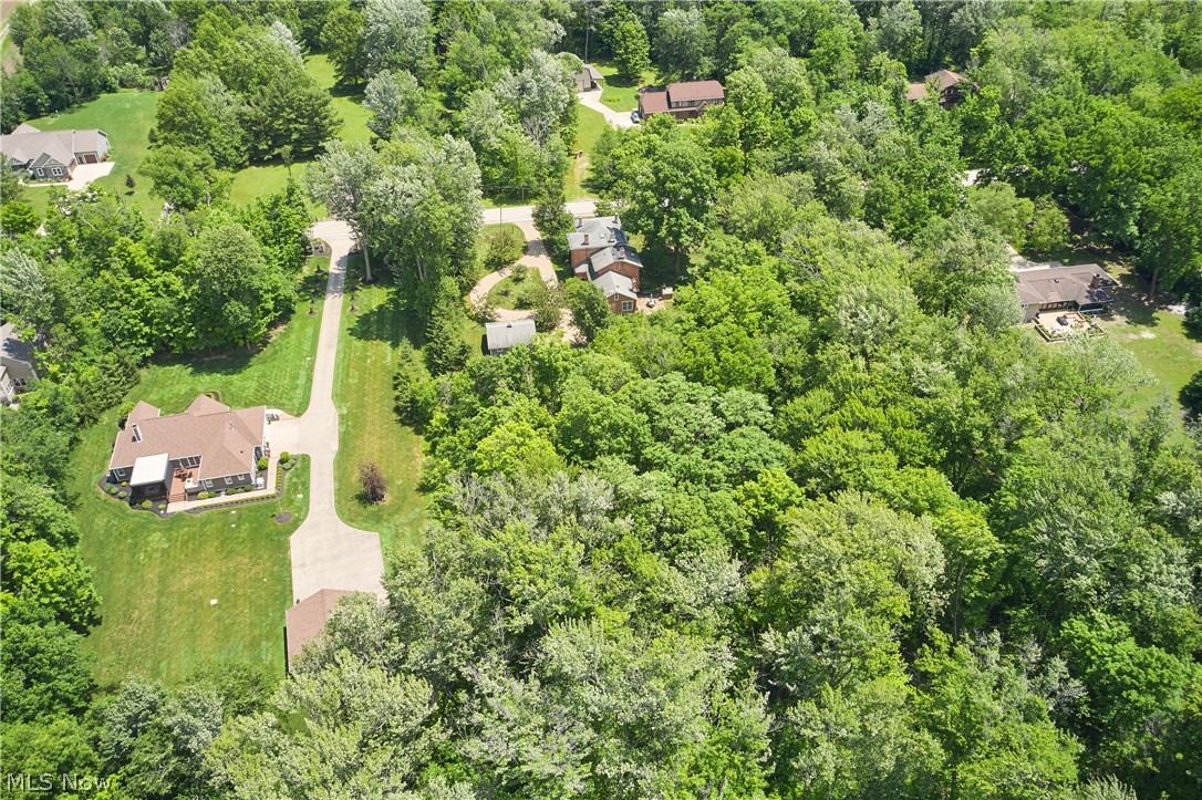 5046 Alger Road Richfield, OH 44286 - Photo 4 of 49 Aerial perspective showcasing a property surrounded by mature trees