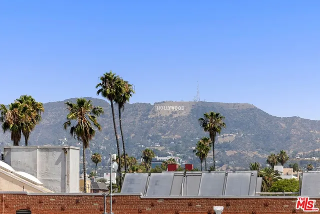 a view of a house with a yard and a large tree