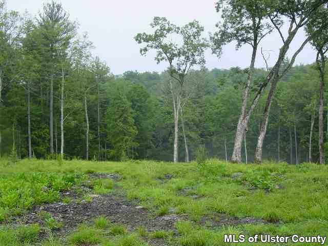 0 Dewitt Road Accord, NY 12446 - Photo 3 of 4 Photo 4