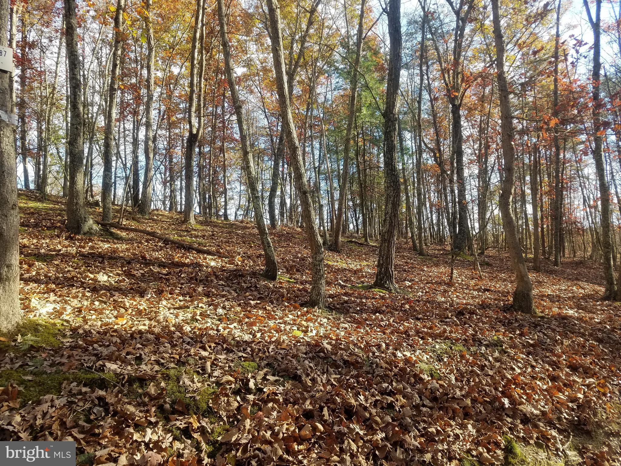 Church Hollow Road Romney, WV 26757 - Photo 12 of 20