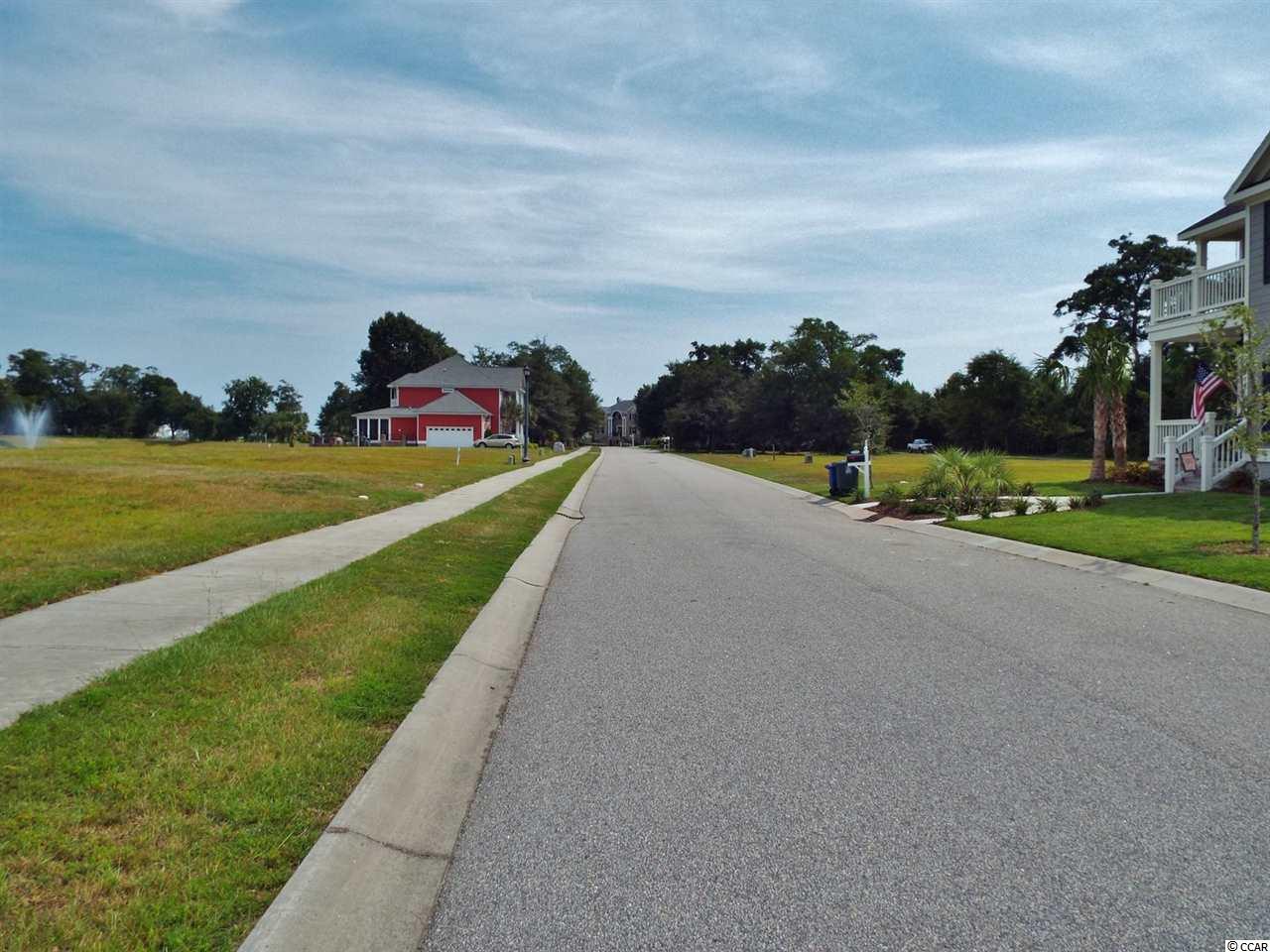 Lot 129 Tarpon Pond Road North Myrtle Beach, SC 29582 - Photo 3 of 13 Gallery Image 3