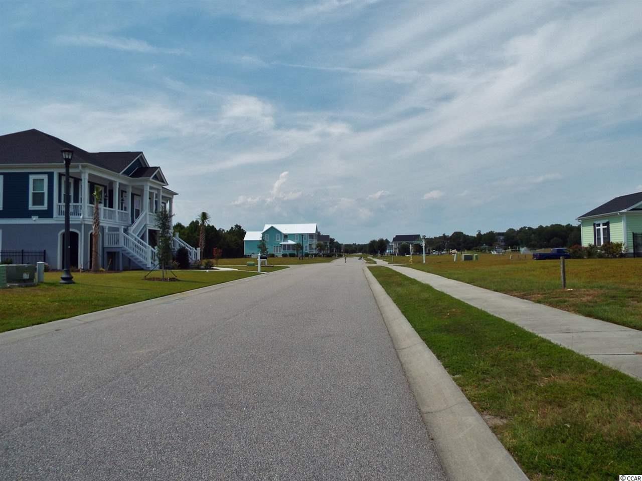 Lot 129 Tarpon Pond Road North Myrtle Beach, SC 29582 - Photo 4 of 13 Gallery Image 4