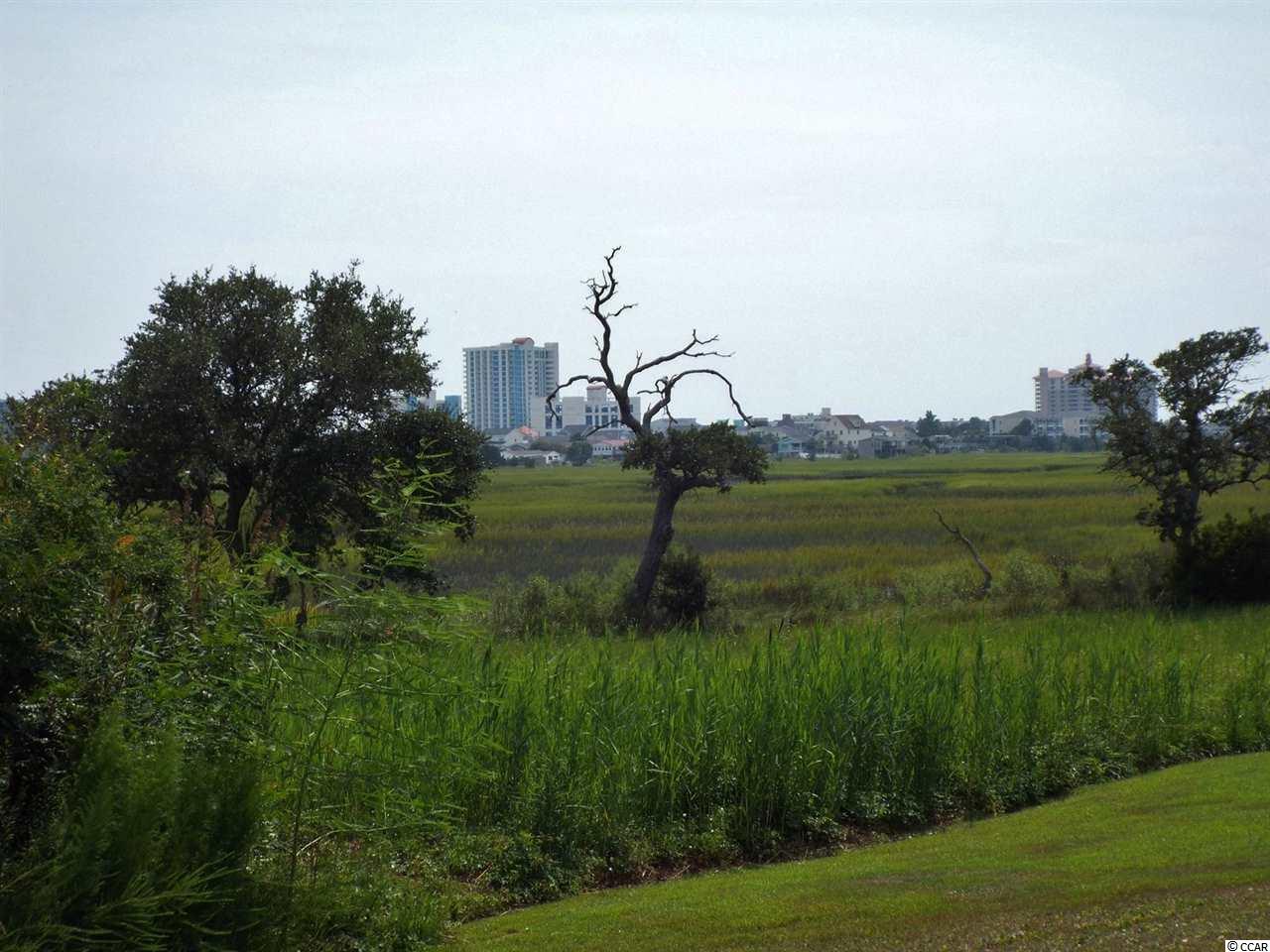 Lot 129 Tarpon Pond Road North Myrtle Beach, SC 29582 - Photo 6 of 13 Gallery Image 6