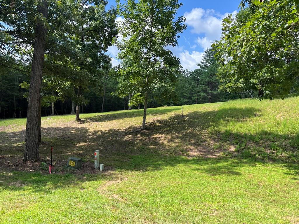 Lot 55 Ray Drive Young Harris, GA 30582 - Photo 1 of 14 a view of a trees with a yard