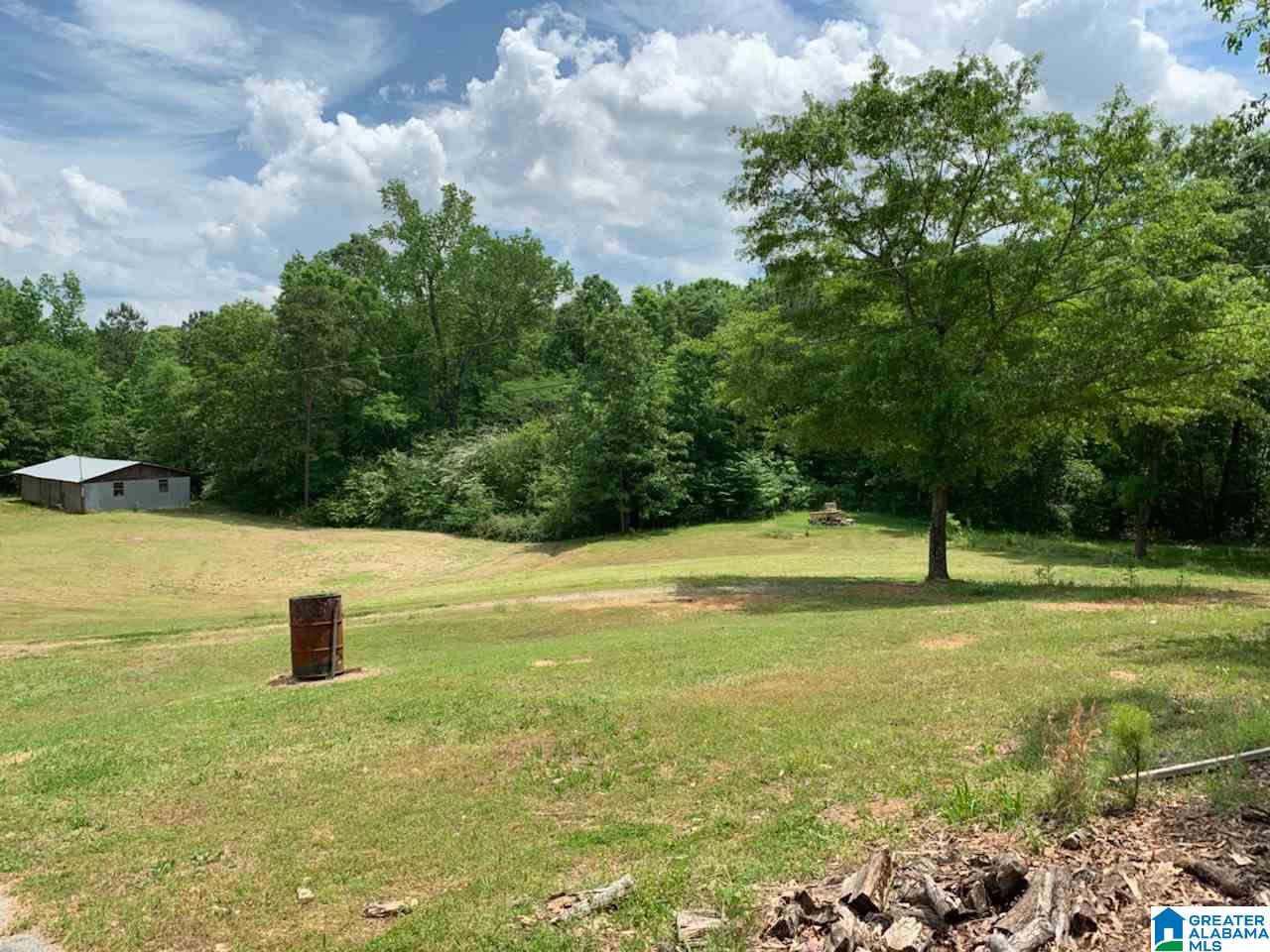 2432 Florida Road Pell City, AL 35125 - Photo 5 of 5