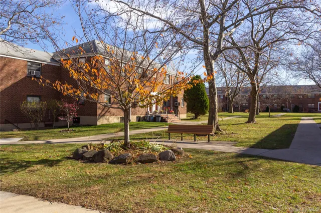 a view of a park with large trees
