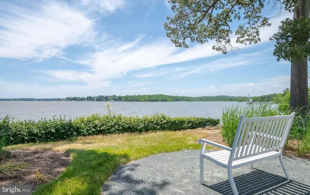 a front view of a house with a yard and potted plants
