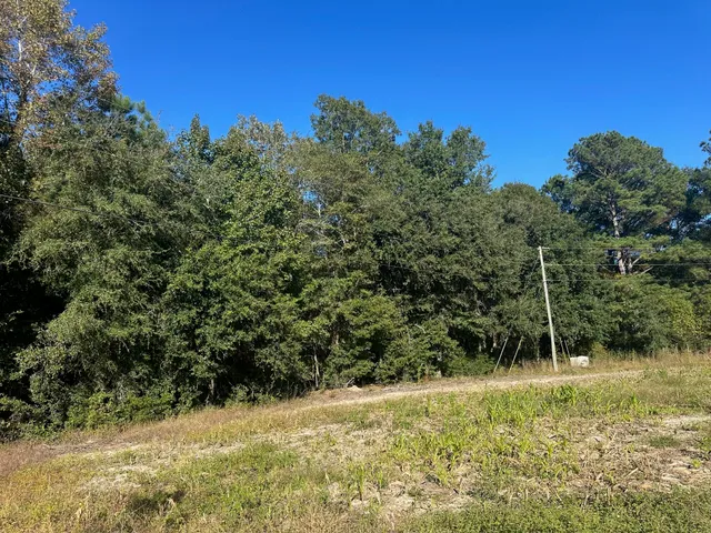 $55,000 | 0 Mitchell Hill Lane, Pineville, SC 29468