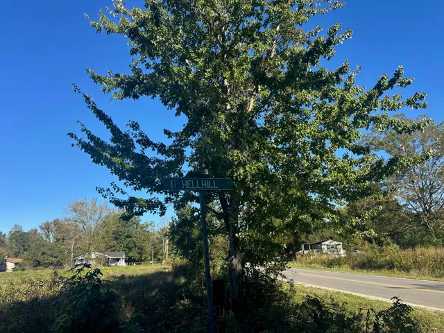 $55,000 | 0 Mitchell Hill Lane, Pineville, SC 29468