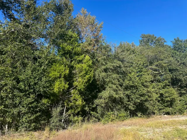 $55,000 | 0 Mitchell Hill Lane, Pineville, SC 29468