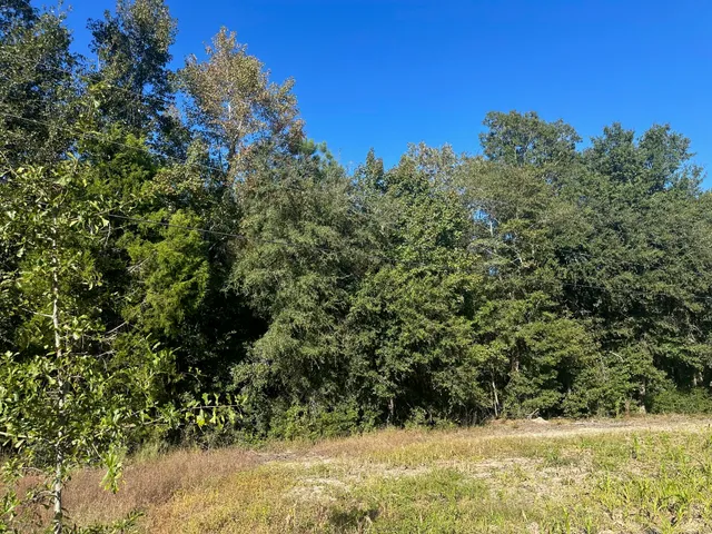 $55,000 | 0 Mitchell Hill Lane, Pineville, SC 29468