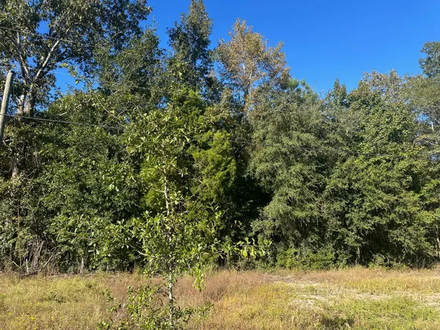 $55,000 | 0 Mitchell Hill Lane, Pineville, SC 29468