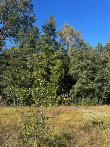 $55,000 | 0 Mitchell Hill Lane, Pineville, SC 29468