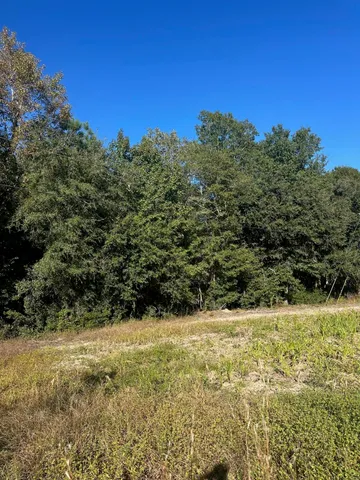 $55,000 | 0 Mitchell Hill Lane, Pineville, SC 29468