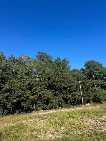 $55,000 | 0 Mitchell Hill Lane, Pineville, SC 29468