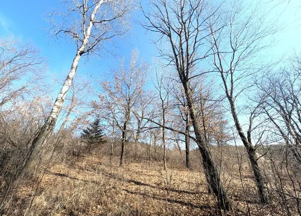 $64,900 | High Point Ridge, Waupaca, WI 54981