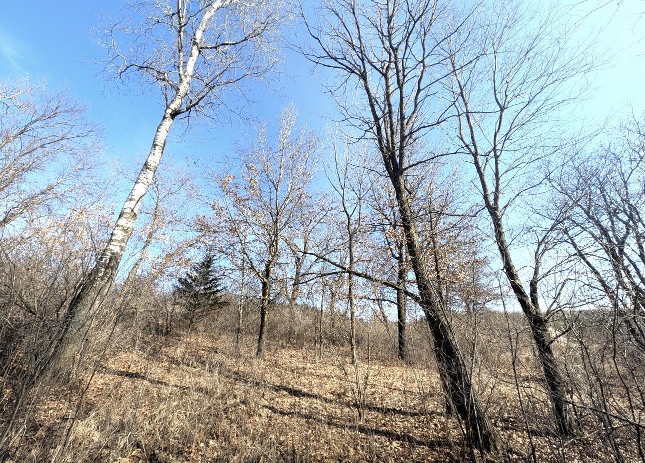 High Point Ridge Waupaca, WI 54981 - Photo 39 of 49