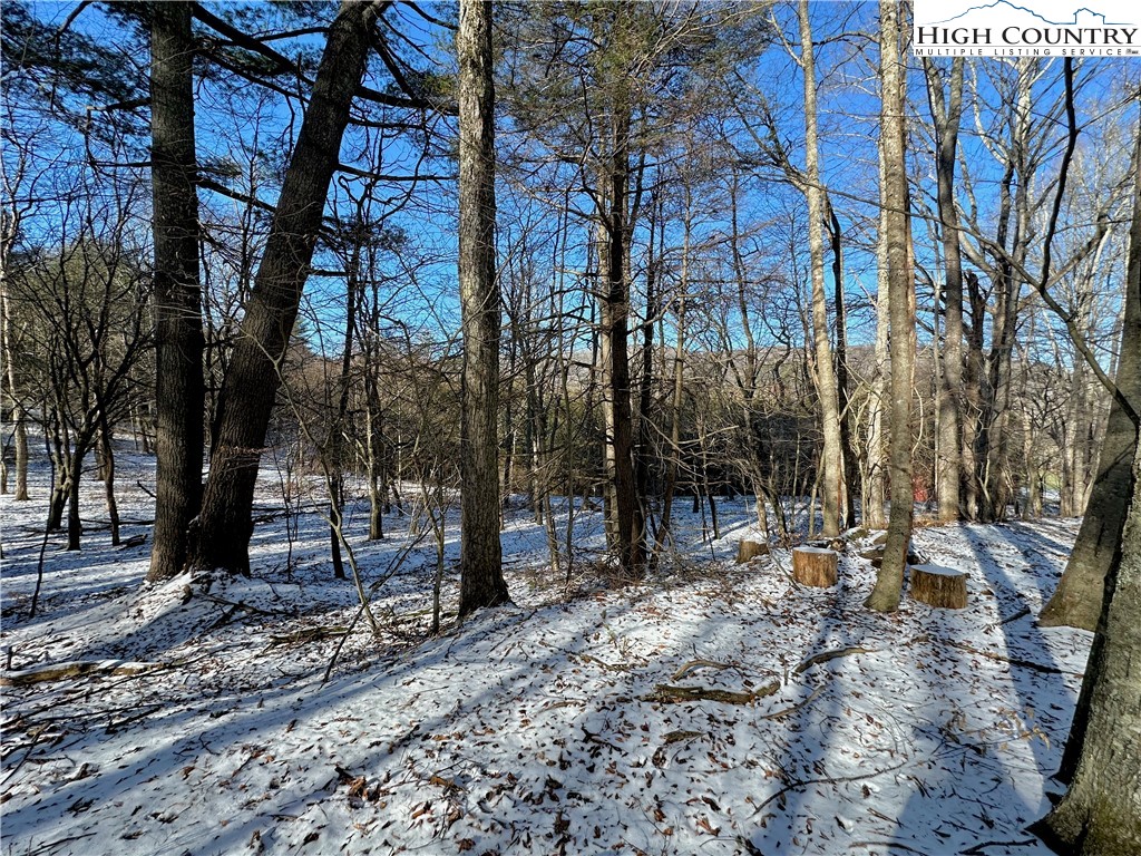 T-4 Seneca Drive Boone, NC 28607 - Photo 3 of 14