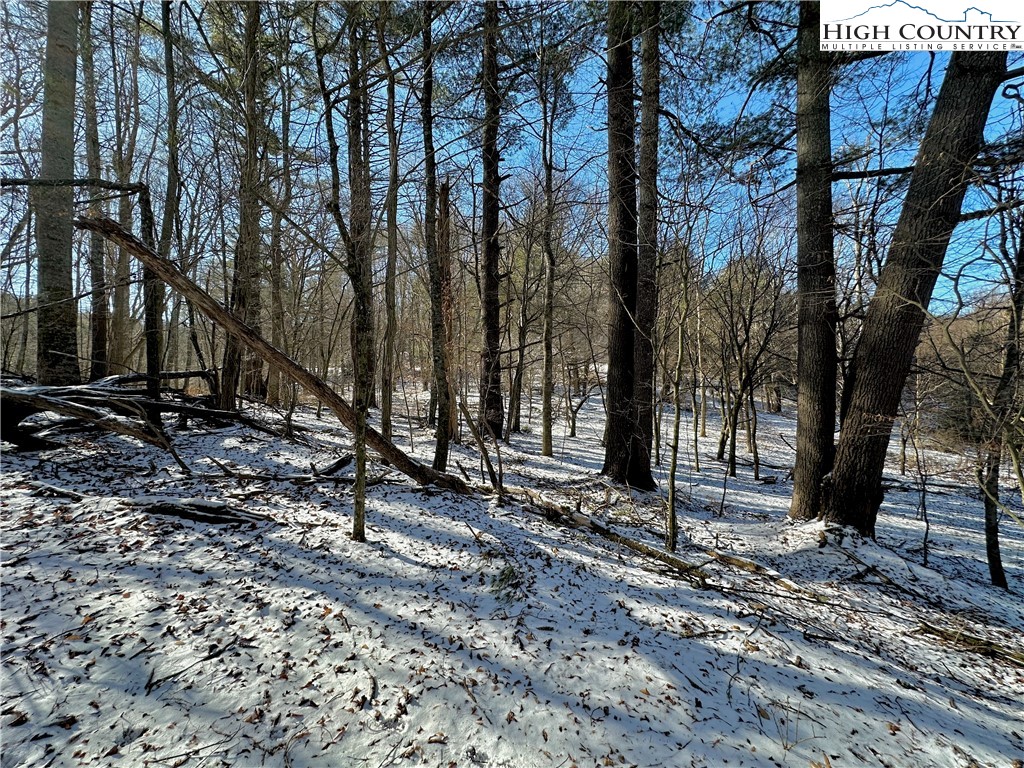 T-4 Seneca Drive Boone, NC 28607 - Photo 4 of 14