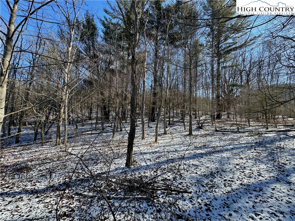 T-4 Seneca Drive Boone, NC 28607 - Photo 5 of 14