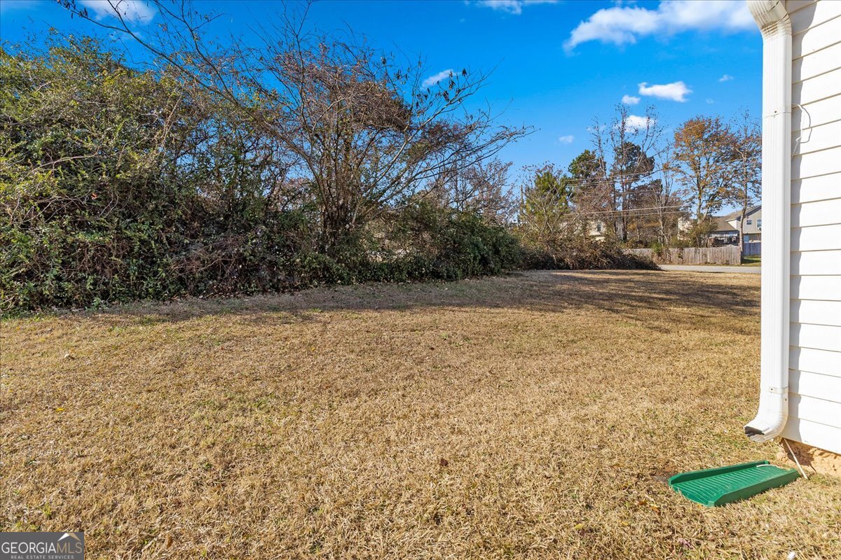 2603 Old Rex Morrow Road Ellenwood, GA 30294 - Photo 32 of 32 a view of a yard with an outdoor space