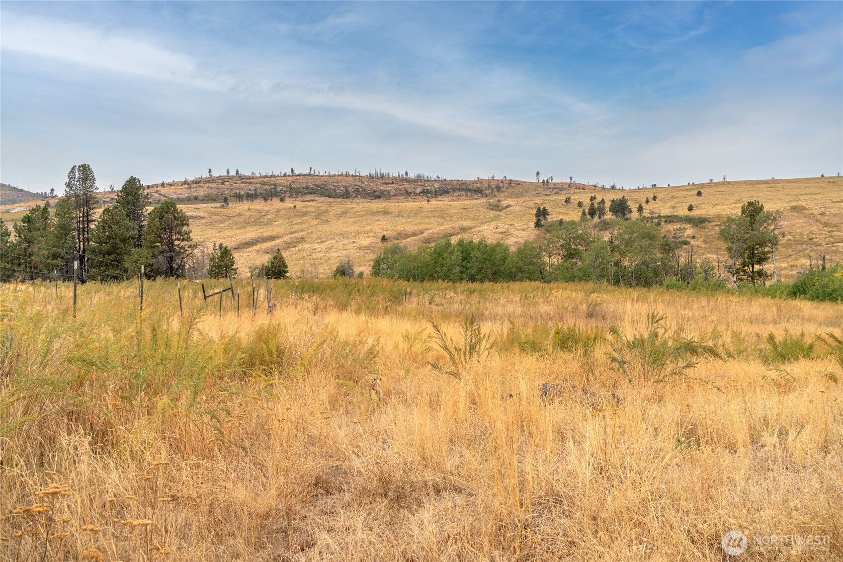 154 Knox Road Riverside, WA 98849 - Photo 8 of 38