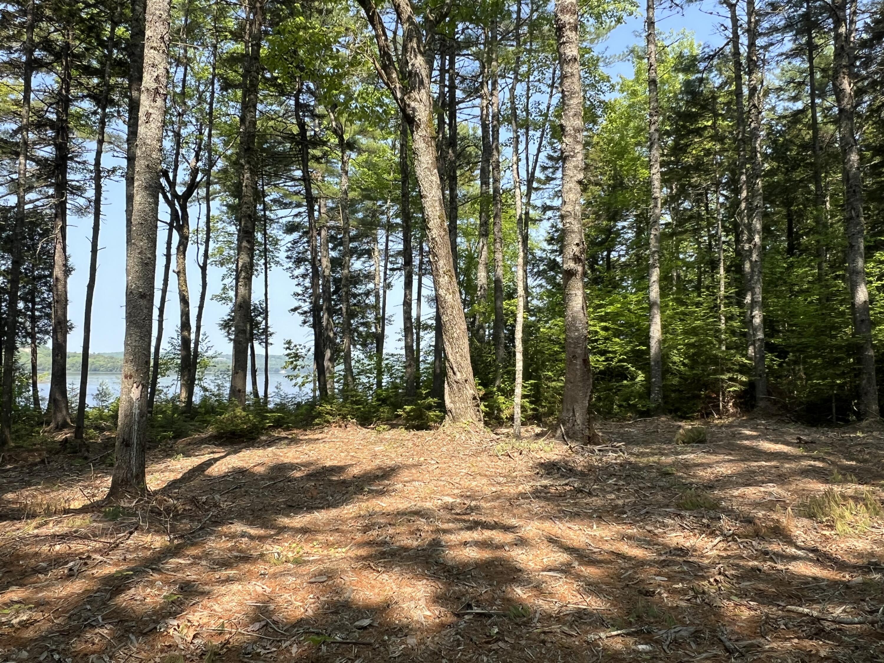 5 Taylor Woods Road Ellsworth, ME 04605 - Photo 3 of 10 IMG_6042