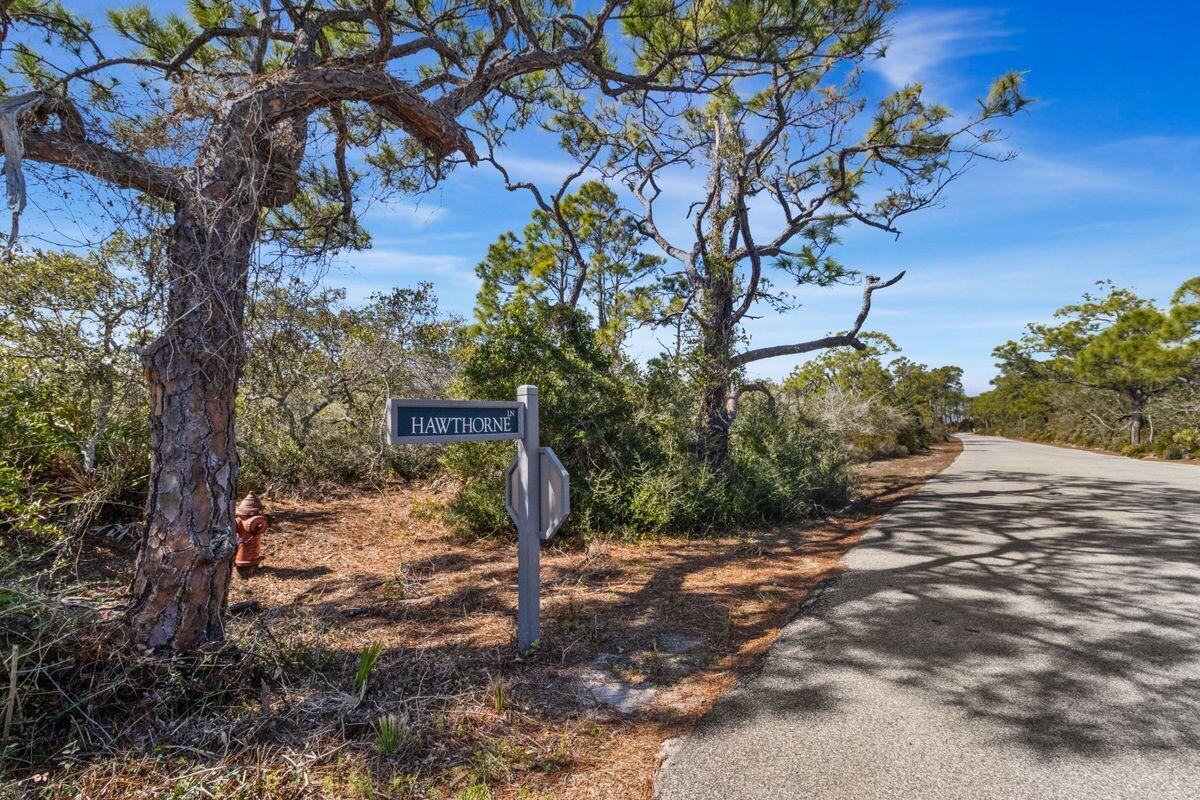 1644 Hawthorne Lane St. George Island, FL 32328 - Photo 15 of 24 a view of a house with a tree