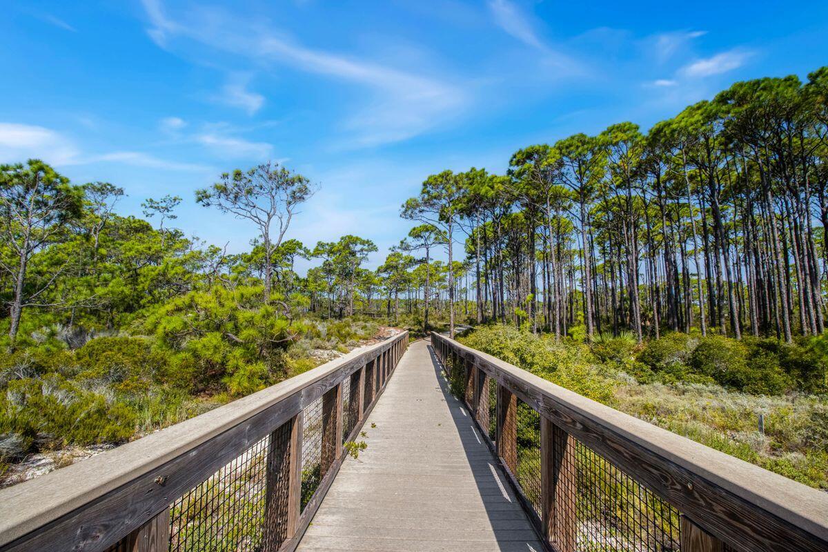 1644 Hawthorne Lane St. George Island, FL 32328 - Photo 21 of 24 a view of balcony and trees