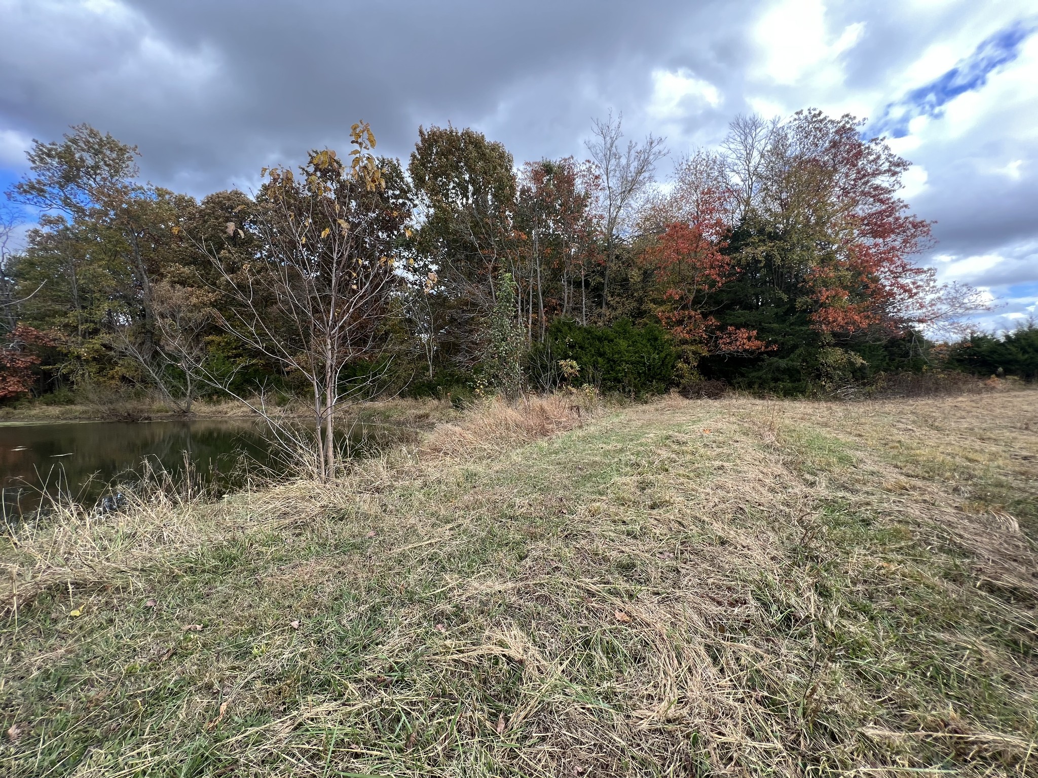 2749 Sims Road Shelbyville, TN 37160 - Photo 15 of 33 Gallery Image 15