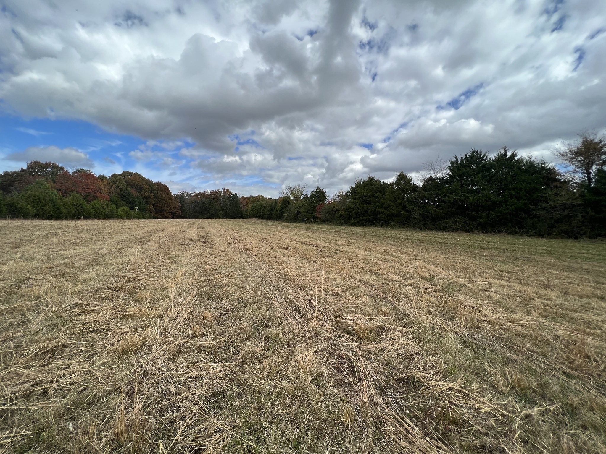 2749 Sims Road Shelbyville, TN 37160 - Photo 22 of 33 Gallery Image 22